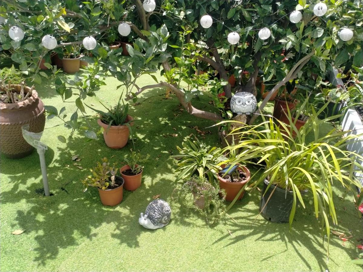 Casa Nine Con Piscina Vacacional La Palma Lejlighed Breña Baja Eksteriør billede